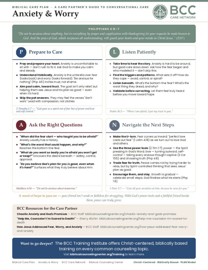 Preview of the BCC Care Plan for Anxiety and Worry